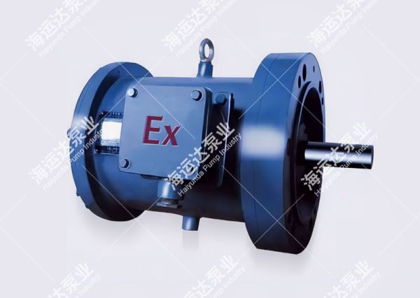 JBZ2-H series marine lifting explosion-proof three-phase asynchronous motor