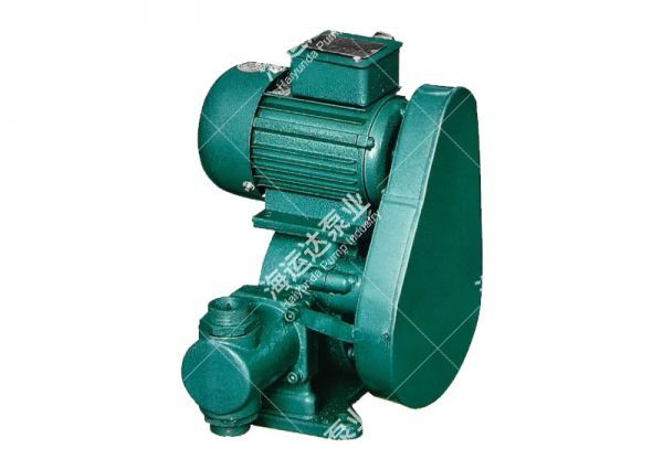CDZ electric plunger pump